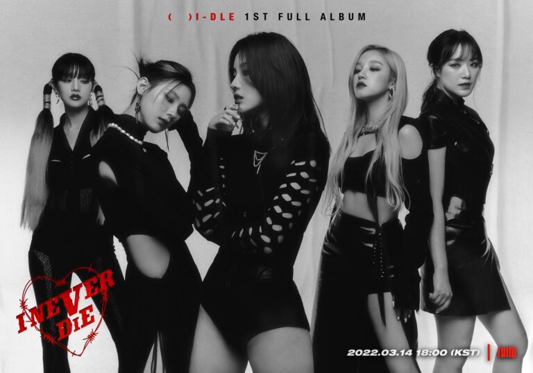 Netizens are going crazy over (G)I-DLE's concept for their first full album
