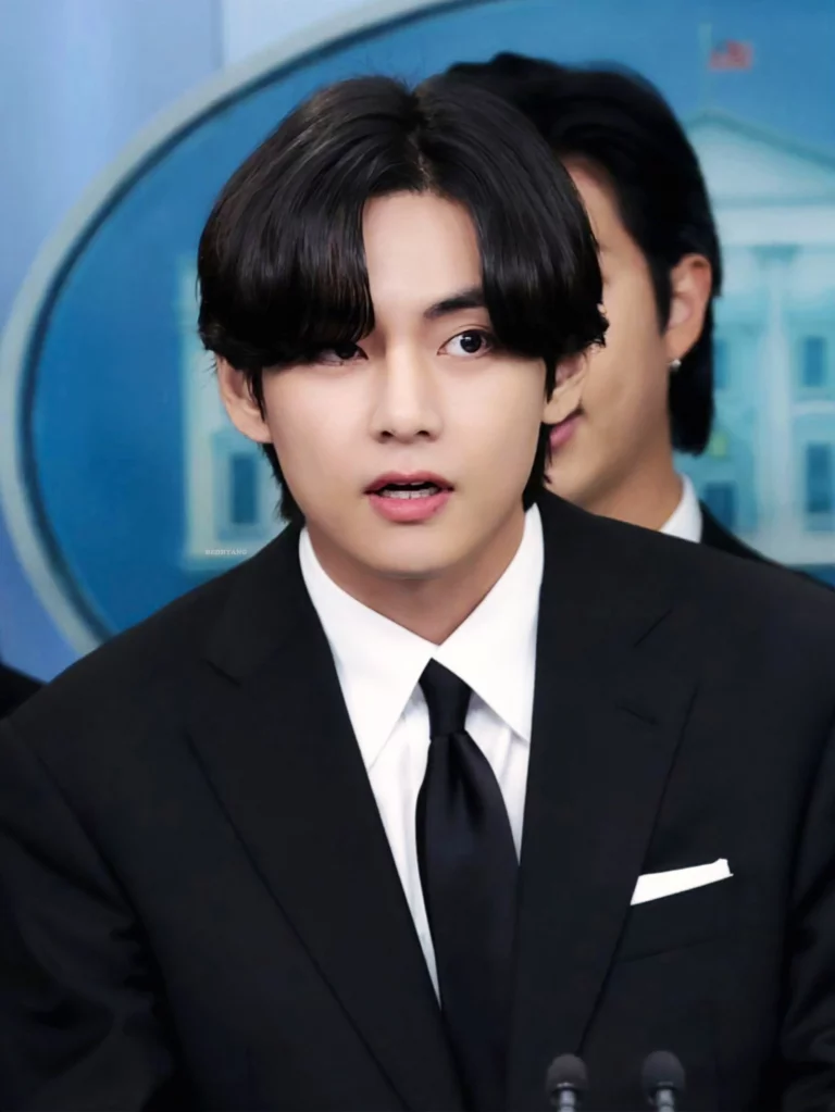 BTS V is so f*cking handsome at the White House