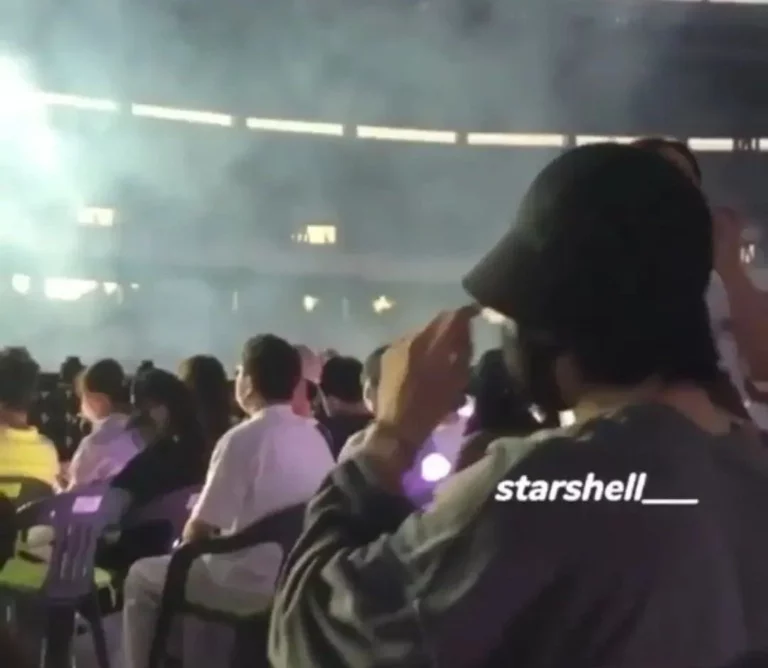 BTS Jungkook (with J-Hope) at IU's concert for two consecutive days