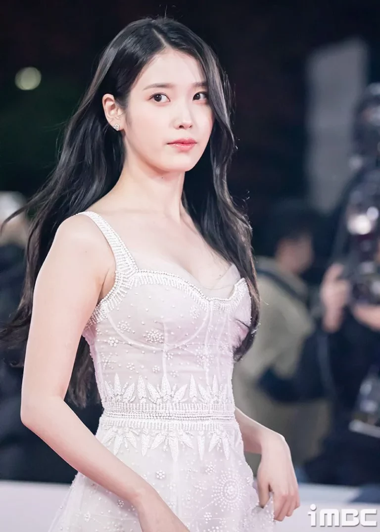 Netizens say that the dress IU wore at the Blue Dragon Awards looks like bra