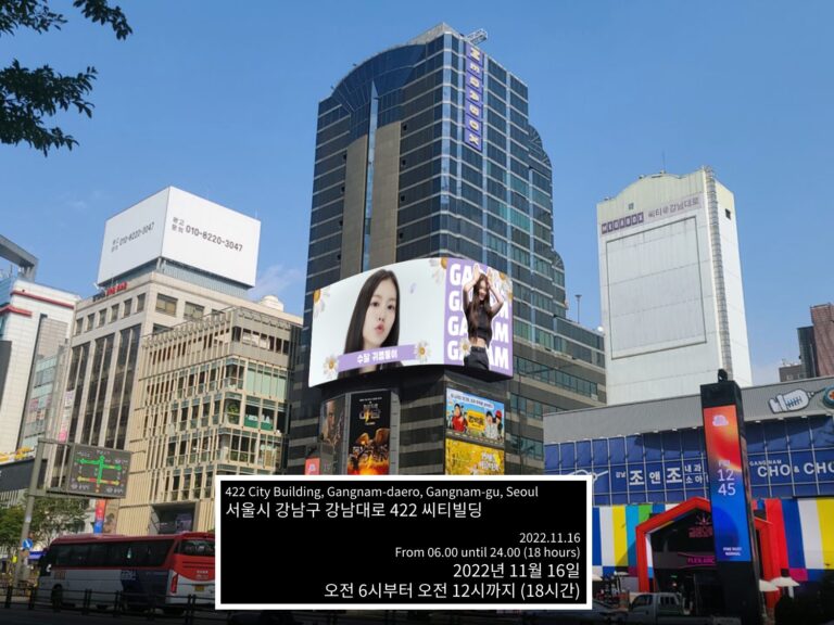 Netizens are shocked by Kim Garam's birthday ad