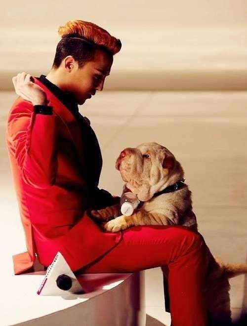 GD's dog controversy clarification post + Mentally ill people who keep manipulating