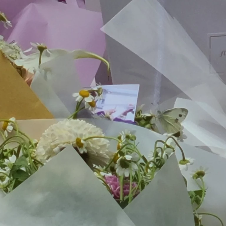 A white butterfly appears at the memorial for Astro Moonbin