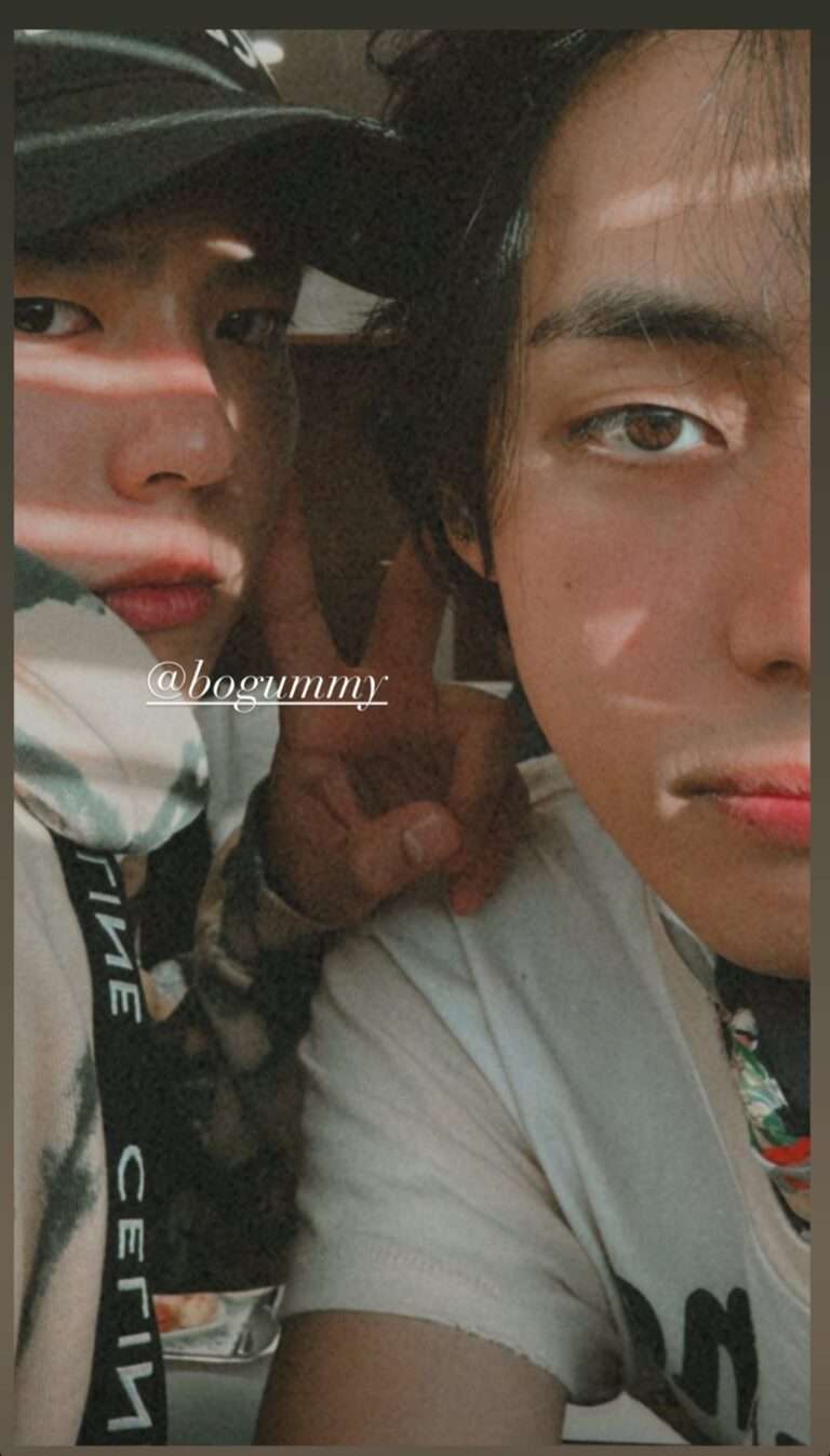 "The picture looks like a work of art" BTS V's Instagram story (with Park Bo Gum)
