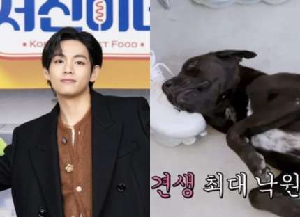 The rumors that BTS V paid for Perro's treatment through 'Seojin's' are not true