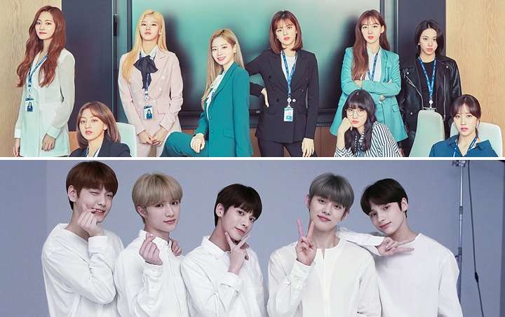 Pure album sales of 2023 in the US show which K-pop idols are doing well in the US