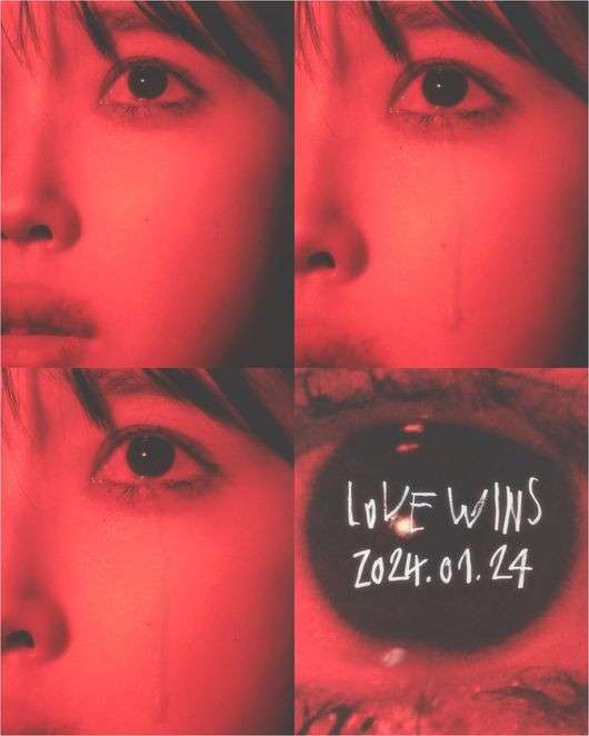 Netizens talk about the teaser for IU's pre-release song 'Love wins'