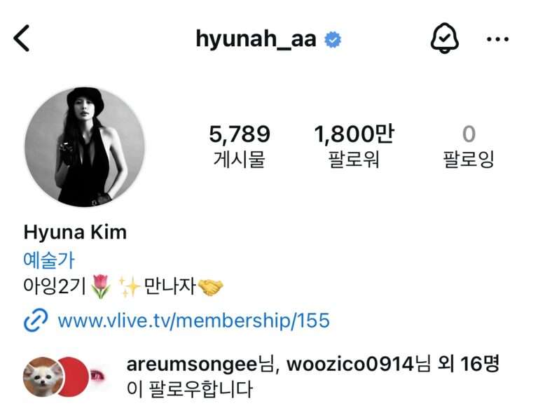 Hyuna lost 630,000 Instagram followers after revealing her relationship with Yong Jun Hyung